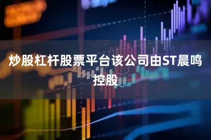 炒股杠杆股票平台该公司由ST晨鸣控股