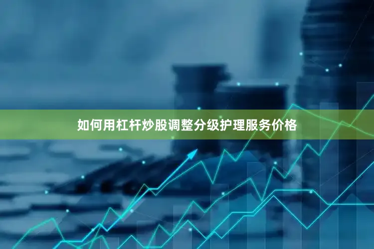 如何用杠杆炒股调整分级护理服务价格