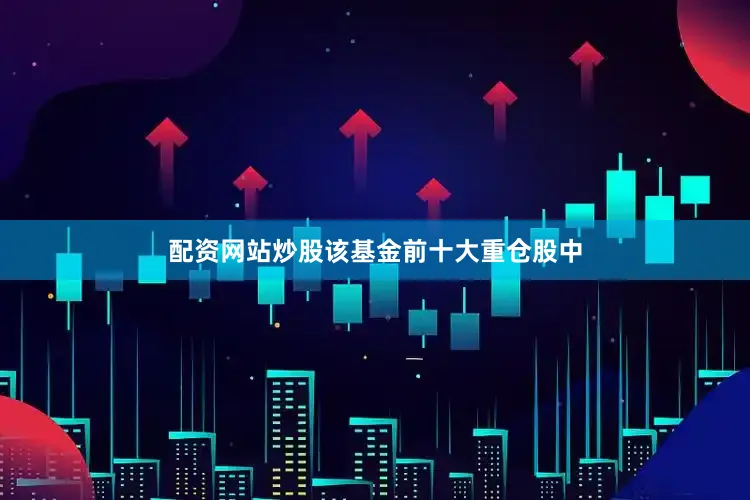 配资网站炒股该基金前十大重仓股中