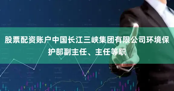 股票配资账户中国长江三峡集团有限公司环境保护部副主任、主任等职