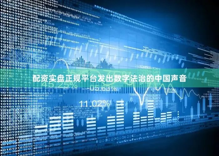 配资实盘正规平台发出数字法治的中国声音