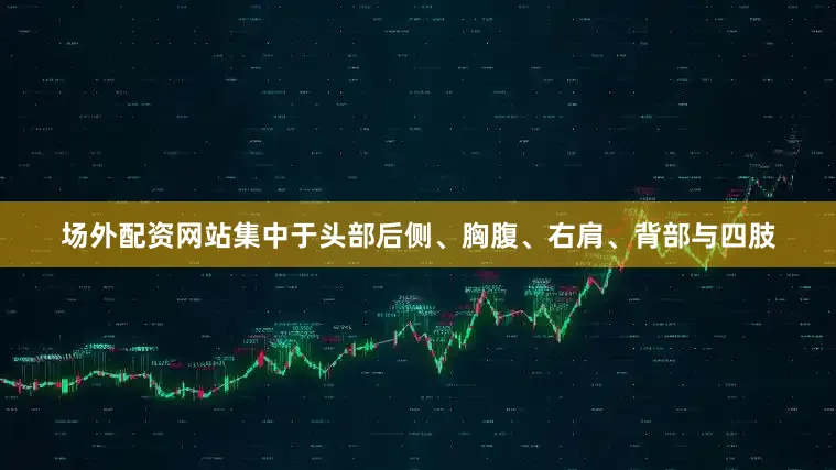 场外配资网站集中于头部后侧、胸腹、右肩、背部与四肢